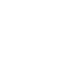 الشريك الرابع